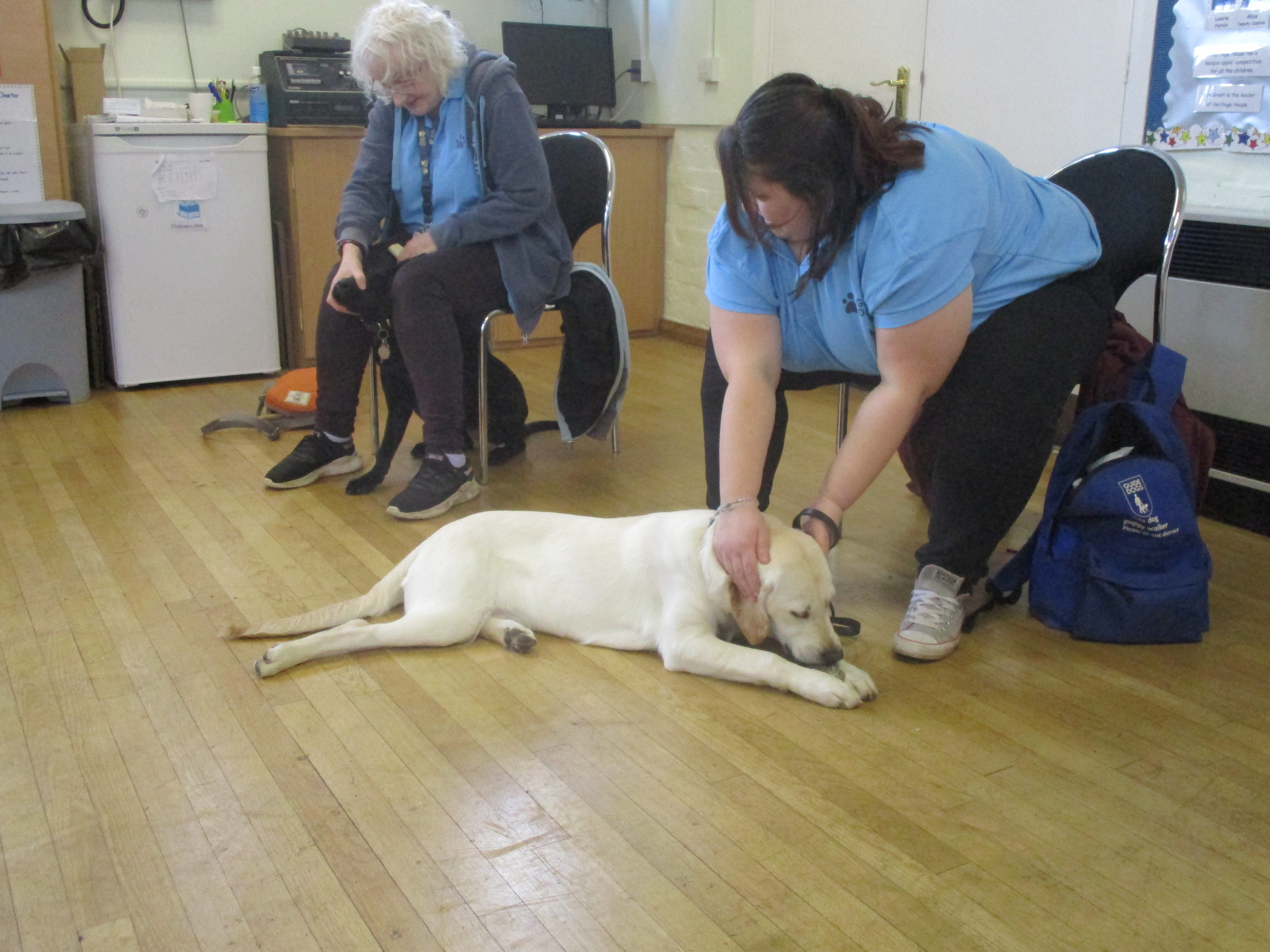 Picture of 2 dog trainers with guide dogs at their feet, one of them is having a fuss made of him!